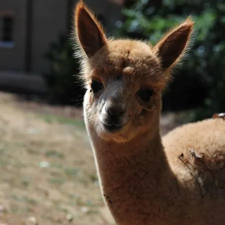 Het Hilkensberg Park 別荘