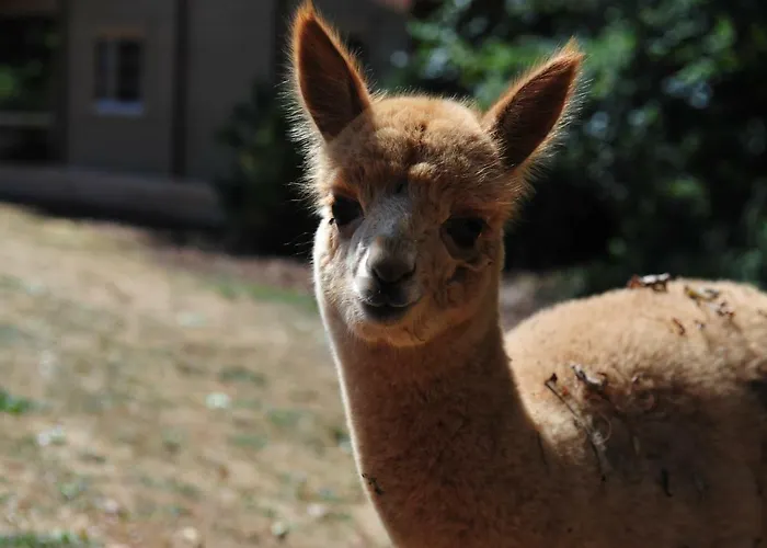 Het Hilkensberg Park Дом отдыха