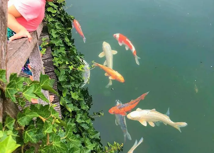 Het Hilkensberg Park Дом отдыха Broekhuizen (Limburg)