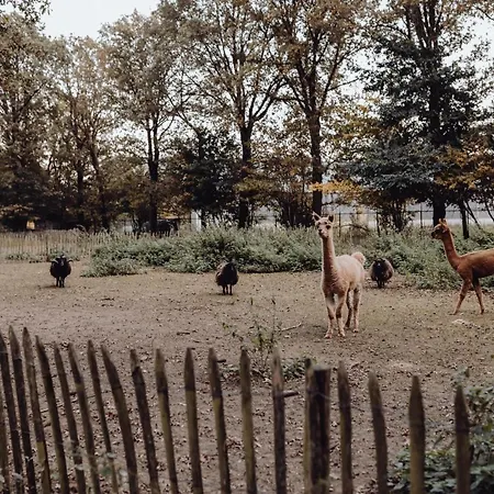 Het Hilkensberg Park Vakantiehuis