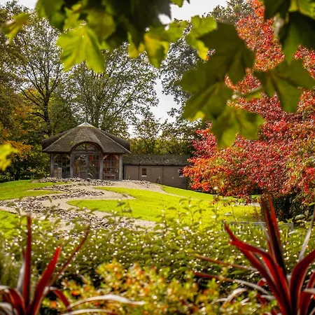 Dom wakacyjny Het Hilkensberg Park Broekhuizen (Limburg)