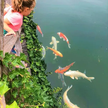 Het Hilkensberg Park Dom wakacyjny Broekhuizen (Limburg)