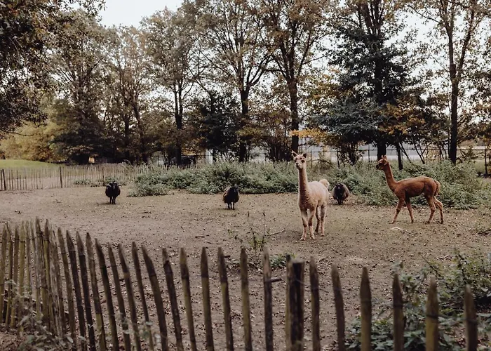 Het Hilkensberg Park Dom wakacyjny